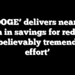 ‘LA DOGE’ delivers nearly $1 billion in savings for red state: ‘Unbelievably tremendous effort’