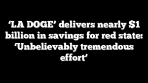 ‘LA DOGE’ delivers nearly $1 billion in savings for red state: ‘Unbelievably tremendous effort’