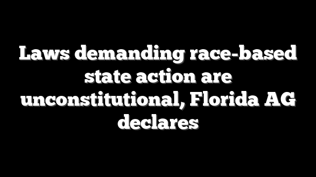 Laws demanding race-based state action are unconstitutional, Florida AG declares