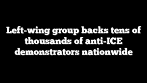 Left-wing group backs tens of thousands of anti-ICE demonstrators nationwide