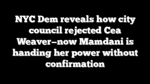 NYC Dem reveals how city council rejected Cea Weaver—now Mamdani is handing her power without confirmation