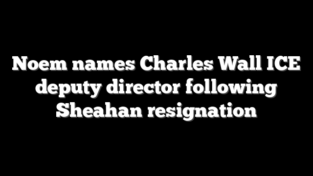 Noem names Charles Wall ICE deputy director following Sheahan resignation