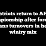 Patriots return to AFC Championship after forcing 5 Texans turnovers in heavy wintry mix
