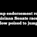 Trump endorsement rocks Louisiana Senate race as Letlow poised to jump in