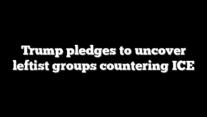 Trump pledges to uncover leftist groups countering ICE