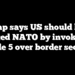Trump says US should have tested NATO by invoking Article 5 over border security