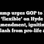 Trump urges GOP to be ‘flexible’ on Hyde Amendment, igniting backlash from pro-life allies