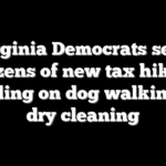 Virginia Democrats seek dozens of new tax hikes, including on dog walking and dry cleaning