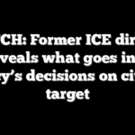WATCH: Former ICE director reveals what goes into agency’s decisions on cities to target