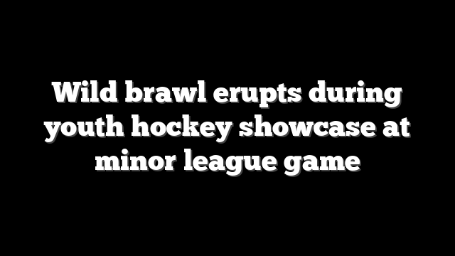 Wild brawl erupts during youth hockey showcase at minor league game