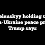 Zelenskyy holding up Russia-Ukraine peace process, Trump says