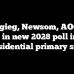 Buttigieg, Newsom, AOC top three in new 2028 poll in key presidential primary state