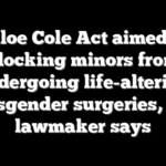 Chloe Cole Act aimed at blocking minors from undergoing life-altering transgender surgeries, GOP lawmaker says