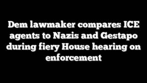 Dem lawmaker compares ICE agents to Nazis and Gestapo during fiery House hearing on enforcement