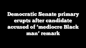 Democratic Senate primary erupts after candidate accused of ‘mediocre Black man’ remark