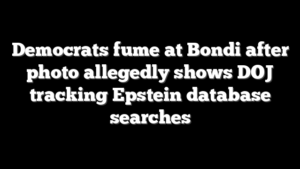 Democrats fume at Bondi after photo allegedly shows DOJ tracking Epstein database searches