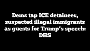 Dems tap ICE detainees, suspected illegal immigrants as guests for Trump’s speech: DHS