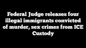 Federal Judge releases four illegal immigrants convicted of murder, sex crimes from ICE Custody