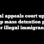 Federal appeals court upholds Trump mass detention policy for illegal immigrants