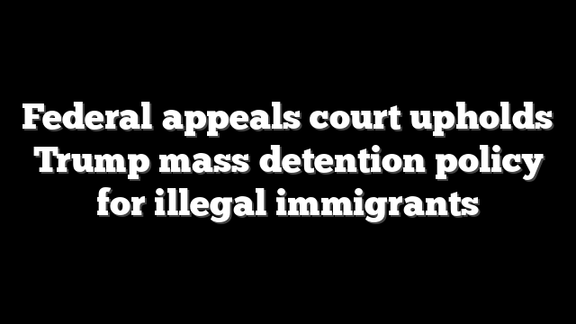 Federal appeals court upholds Trump mass detention policy for illegal immigrants