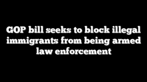 GOP bill seeks to block illegal immigrants from being armed law enforcement