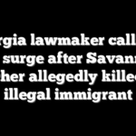Georgia lawmaker calls for ICE surge after Savannah teacher allegedly killed by illegal immigrant