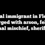 Illegal immigrant in Florida charged with arson, felony criminal mischief, sheriff says