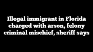 Illegal immigrant in Florida charged with arson, felony criminal mischief, sheriff says