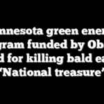 Minnesota green energy program funded by Obama fined for killing bald eagle: ‘National treasure’