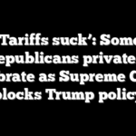 ‘Tariffs suck’: Some Republicans privately celebrate as Supreme Court blocks Trump policy