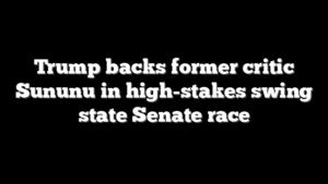 Trump backs former critic Sununu in high-stakes swing state Senate race