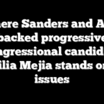 Where Sanders and AOC backed progressive congressional candidate Analilia Mejia stands on key issues
