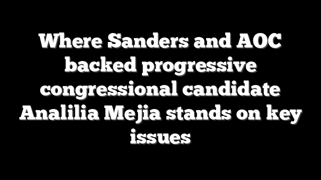 Where Sanders and AOC backed progressive congressional candidate Analilia Mejia stands on key issues