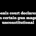 Appeals court declares DC ban on certain gun magazines unconstitutional