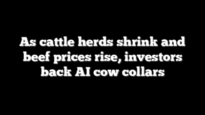 As cattle herds shrink and beef prices rise, investors back AI cow collars