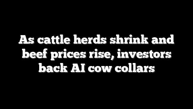 As cattle herds shrink and beef prices rise, investors back AI cow collars