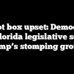 Ballot box upset: Democrats flip Florida legislative seat in Trump’s stomping ground