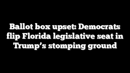 Ballot box upset: Democrats flip Florida legislative seat in Trump’s stomping ground