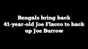 Bengals bring back 41-year-old Joe Flacco to back up Joe Burrow
