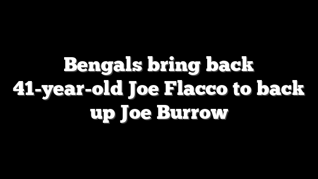 Bengals bring back 41-year-old Joe Flacco to back up Joe Burrow