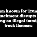 Dem known for Trump impeachment disrupts GOP hearing on illegal immigrant truck licenses