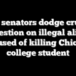 Dem senators dodge crucial question on illegal alien accused of killing Chicago college student