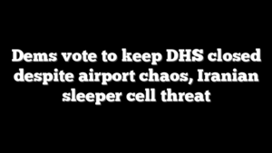 Dems vote to keep DHS closed despite airport chaos, Iranian sleeper cell threat