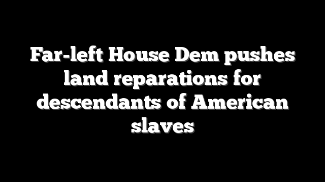 Far-left House Dem pushes land reparations for descendants of American slaves