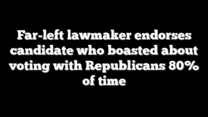 Far-left lawmaker endorses candidate who boasted about voting with Republicans 80% of time