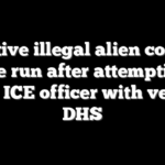 Fugitive illegal alien convict on the run after attempting to strike ICE officer with vehicle: DHS