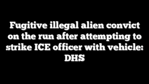 Fugitive illegal alien convict on the run after attempting to strike ICE officer with vehicle: DHS