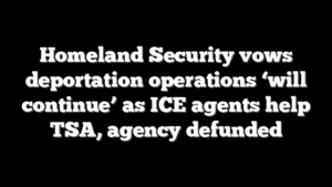 Homeland Security vows deportation operations ‘will continue’ as ICE agents help TSA, agency defunded