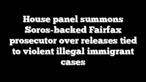 House panel summons Soros-backed Fairfax prosecutor over releases tied to violent illegal immigrant cases