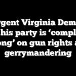 Insurgent Virginia Democrat says his party is ‘completely wrong’ on gun rights and gerrymandering